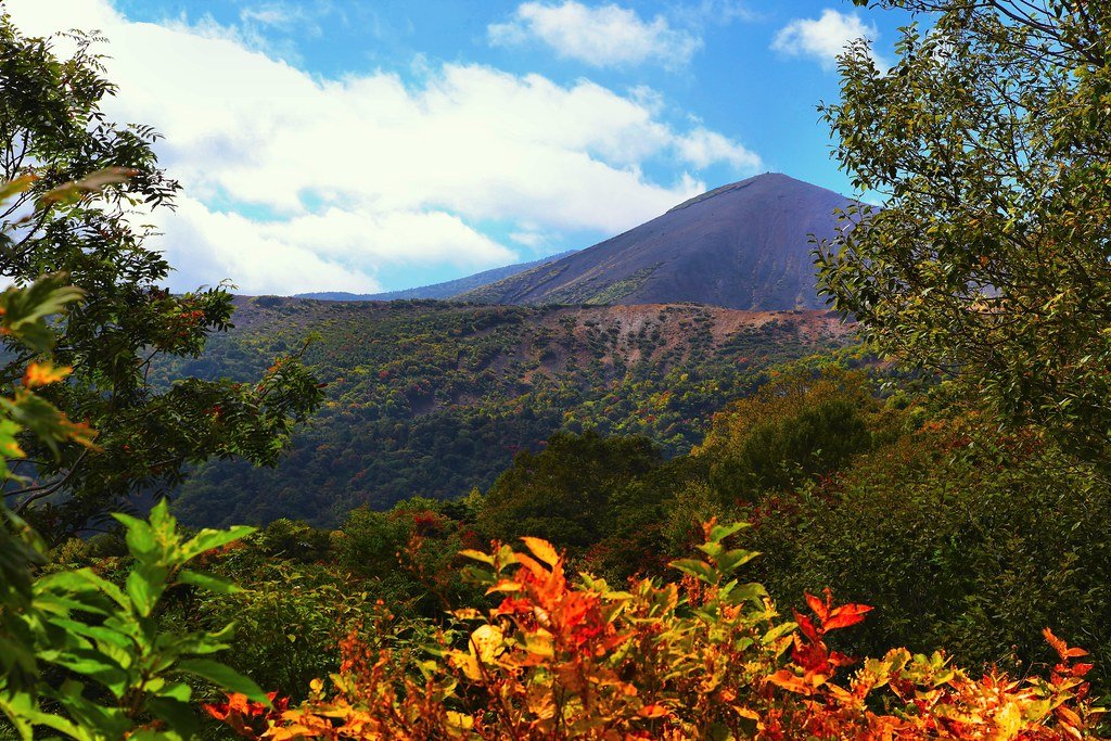 🍂 덴구의 정원 (텐구노니와) 이미지 6